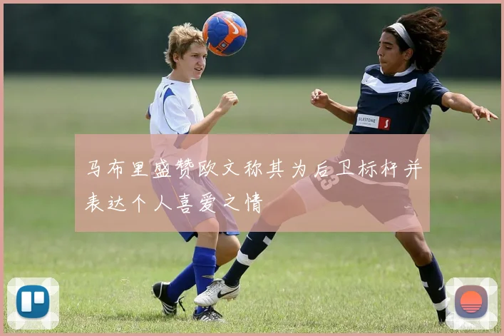 马布里盛赞欧文称其为后卫标杆并表达个人喜爱之情