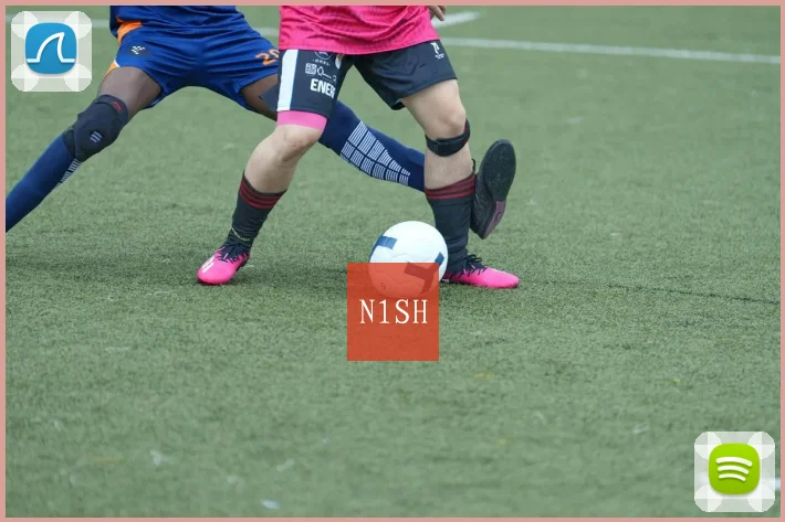 N1SH