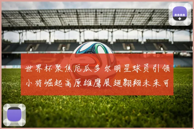 世界杯聚焦厄瓜多尔明星球员引领小将崛起高原雄鹰展翅翱翔未来可期