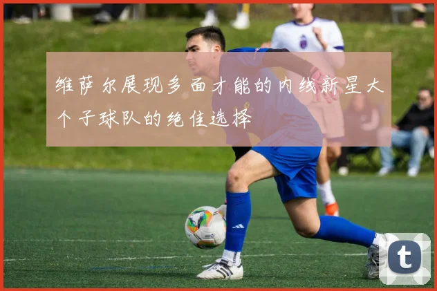 维萨尔展现多面才能的内线新星大个子球队的绝佳选择