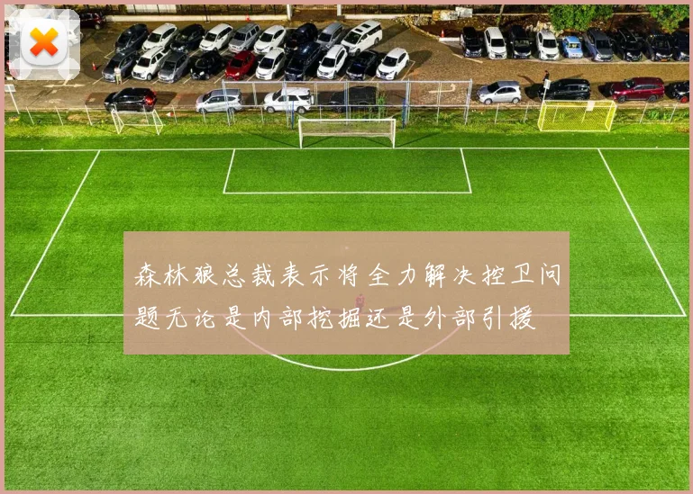 森林狼总裁表示将全力解决控卫问题无论是内部挖掘还是外部引援
